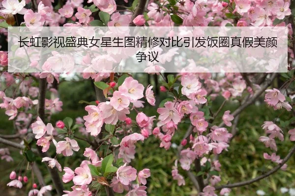 chang-hong-ying-shi-sheng-dian-nv-xing-sheng-tu-jing-xiu-dui-bi-yin-fa-fan-quan-zhen-jia-mei-yan-zheng-yi-1-800.jpg